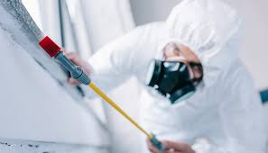 Emergency Pest Control Services in Silver Springs, FL